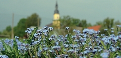 Kirchgemeindefahrt